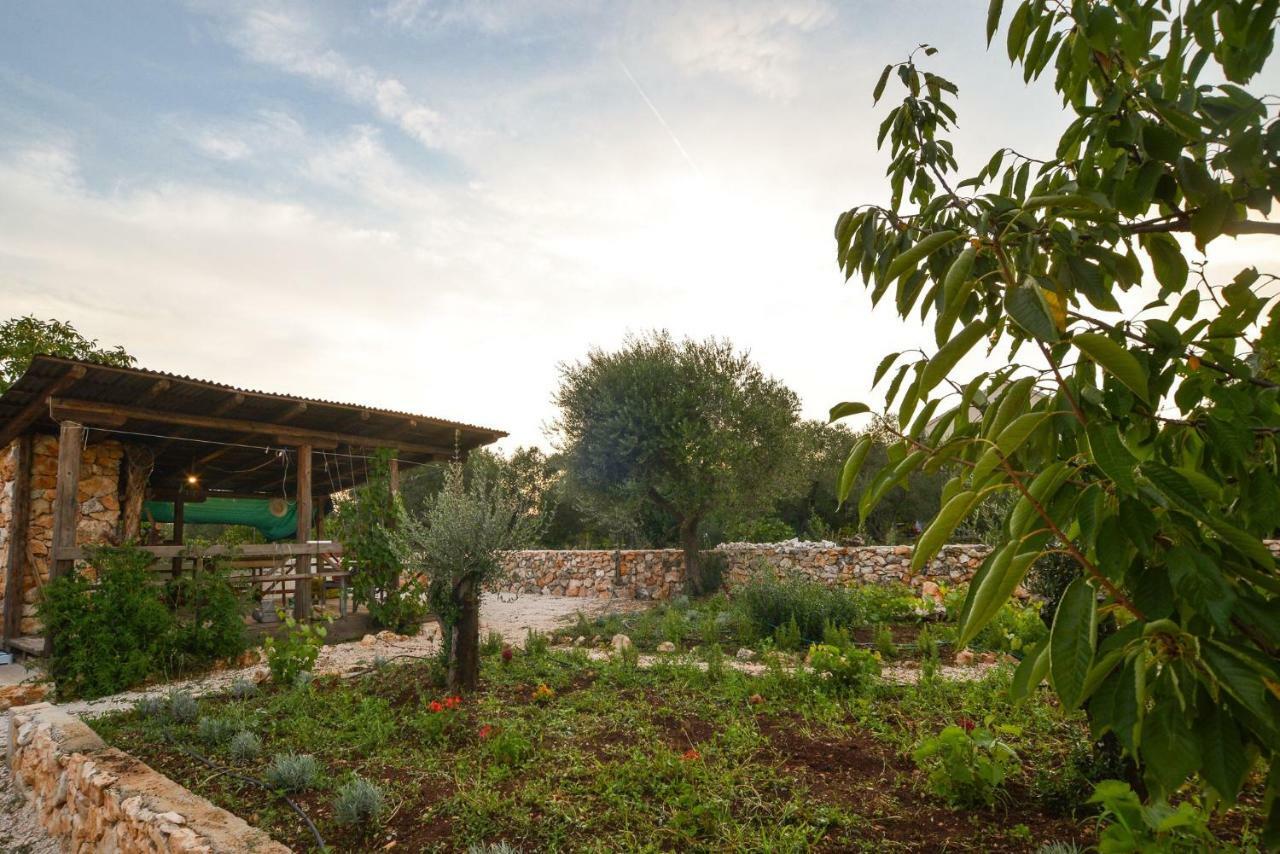 Luxury Apartments Boduja Sukošan Dış mekan fotoğraf